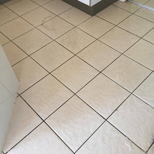 tile and grout cleaners