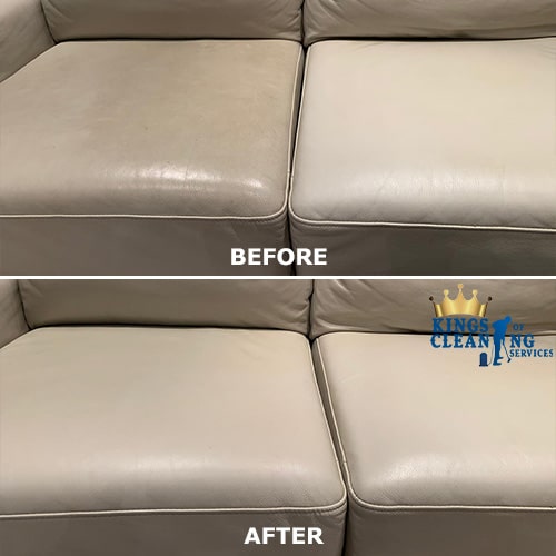 leather sofa cleaner