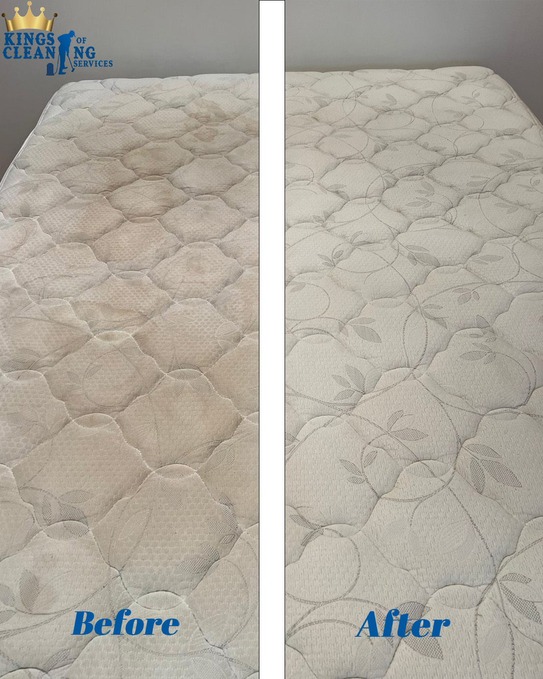 Professional Cleaning Service in Erskine Park