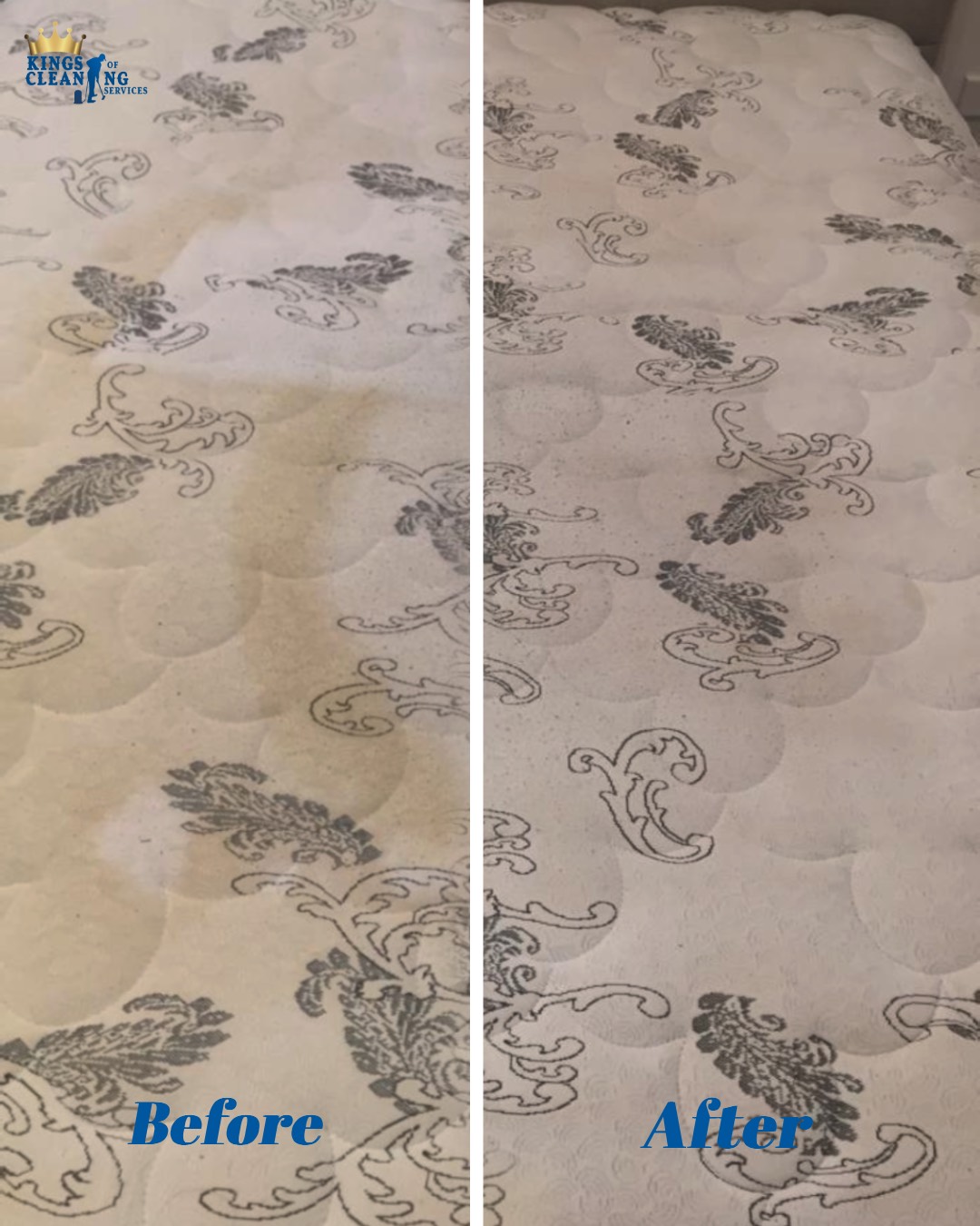 Professional Cleaning Service in Campbelltown