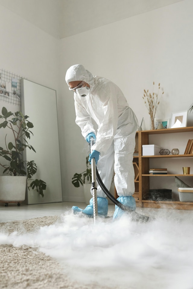 professional cleaning service in bankstown