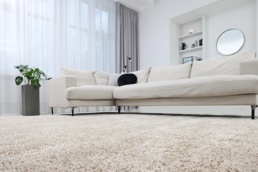 Bright carpeted living room with natural spring light in a Sydney-style home